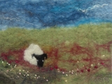 Sheep in Field.JPG
